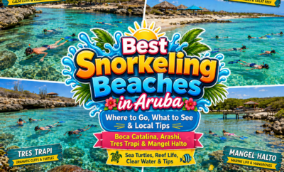 Best Snorkeling Beaches in Aruba