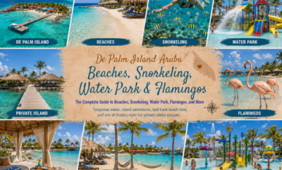 De Palm Island