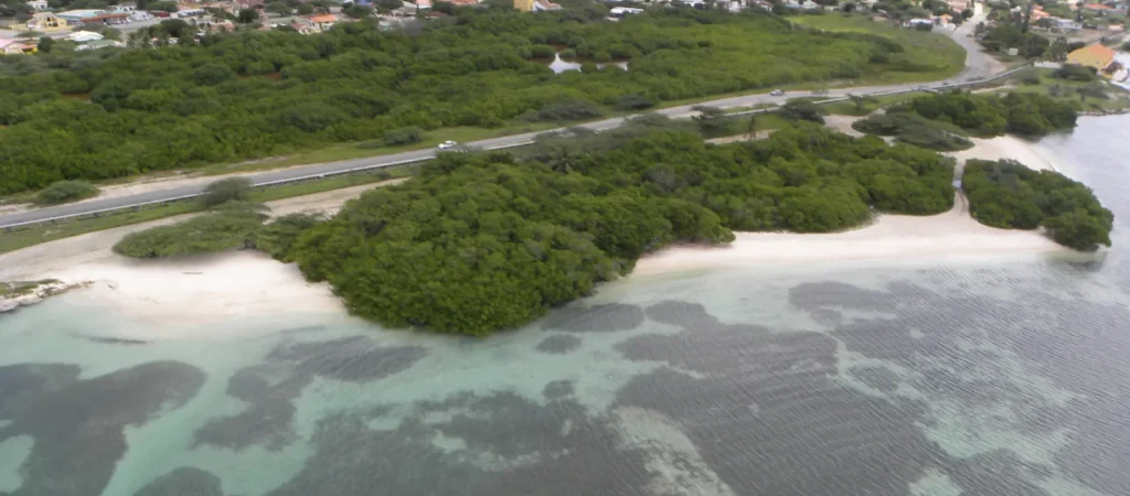 Santo Largo Beach Aruba